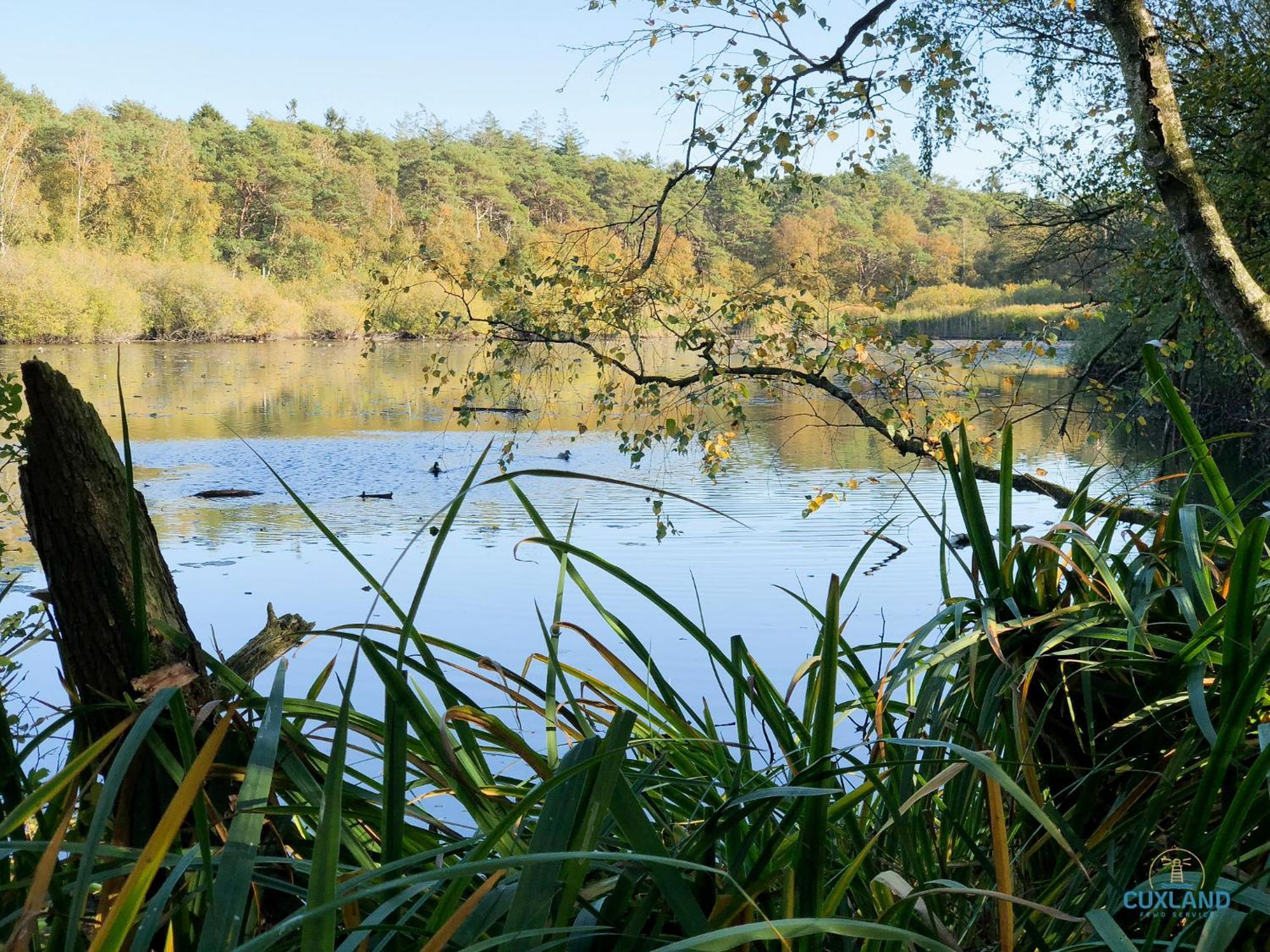Auszeit Am Wernerwald Im Haus Frauenpreiss Leilighet Cuxhaven Eksteriør bilde